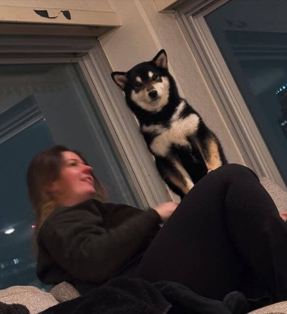 圧倒的マウント姿！『ここは私の王国ですが？』まるで王様の風格に寺島しのぶタジタジ