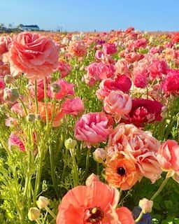 名言のみの意味深投稿？板野友美の心境はいかに