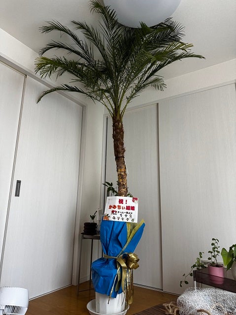 デカすぎ!?人気芸人のもとに届いた