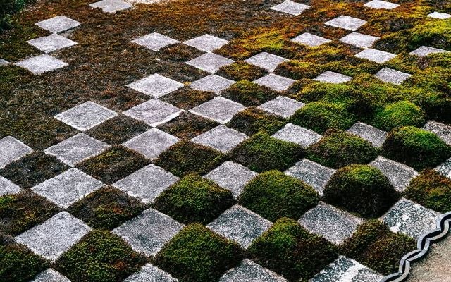 京本大我、心を奪われた“石畳のチェス盤”。自然と幾何のコントラストに美意識が宿る静寂のワンショット