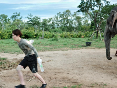 Snow Man　渡辺翔太、“象から逃げる”爆笑ショットにファン熱狂！シュールな表情が話題に！！