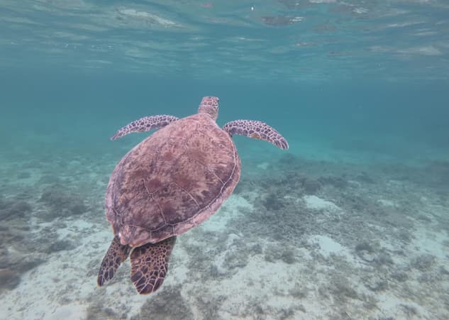 「自然も忙しい」IMALU、大自然ショットを投稿！