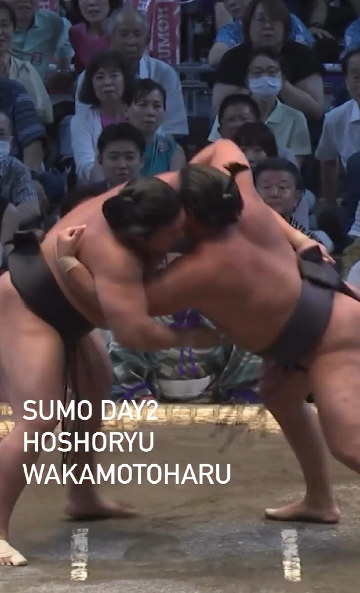 激突の二日目！豊昇龍vs若元春、力と技がぶつかった名古屋場所注目の一番