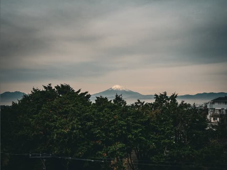 「上手すぎる！！」宮世琉弥、日本の風情を感じる写真にファンも素敵の声続出！