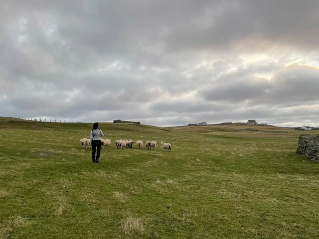 「写真の生き物はなんでしょう？」本仮屋リイナからのクイズが激ムズ過ぎてファン困惑⁉