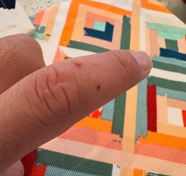 「皆さんも気をつけて」上原浩治が愛犬「KJ」に噛まれる！？