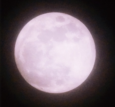 「ピンクムーン、まもなく」さだまさしが捉えた春の満月ショットに癒されるファン続出