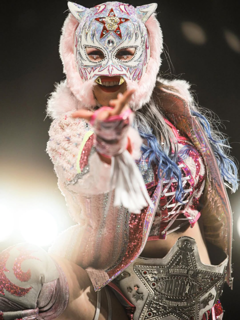 【レア】 ハローキティ 根付け ストラップ 全日本プロレス 覆面レスラー 2種 レア】 ハローキティ 根付け ストラップ 全日本プロレス 覆面