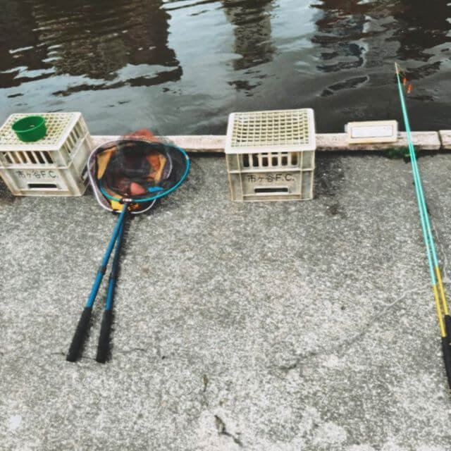 ヒコロヒー、市ヶ谷で釣り初め。今年は本気モード突入