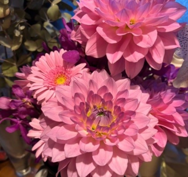 「お花を長持ちさせるテクニック！」ハイヒール・モモコの家はいつも生花がいっぱい！