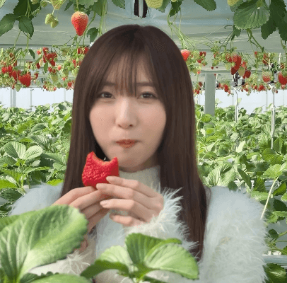 「このカワイさは反則だよ」激カワ野球女子、”苺大使になりたい”と告げ、畑のなかから”ひょっこりはん”！ファン夢心地