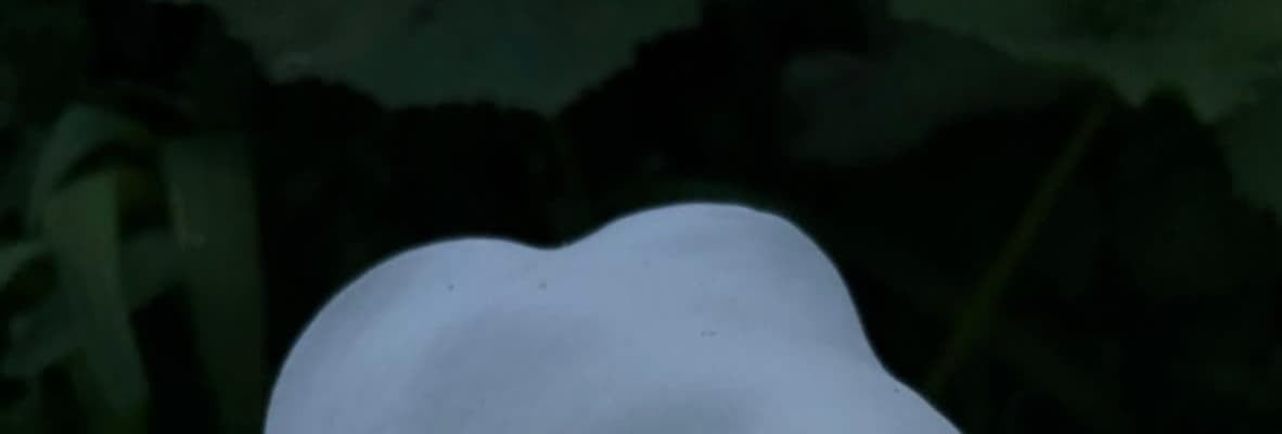 女優・板谷由夏の