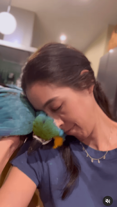 森泉、〇〇の匂いに夢中！インスタグラムで愛情たっぷりの投稿