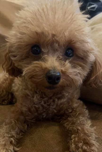 「プレッシャーで 一睡も出来なかった」俳優 今井翼に労いの声続々・・・