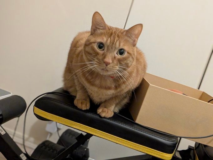 「心配だにゃ…」松丸亮吾　優しすぎる同居人の様子にほっこり