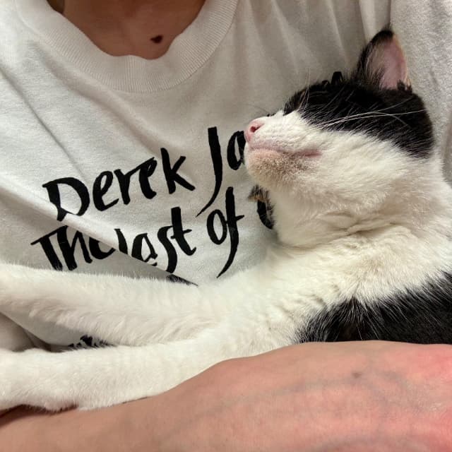 「抱きついてくる猫たまらん」Snow Man・佐久間大介の最新ショットが話題に