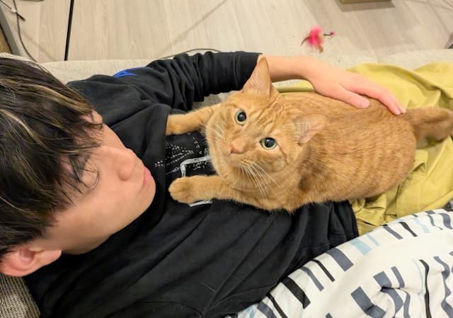 「最近ここが昼休みの定位置になりつつある」松丸亮吾の上で愛猫がどっしり