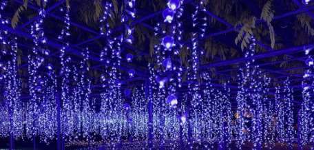 有吉弘行、栃木で幻想的なイルミネーションを満喫！