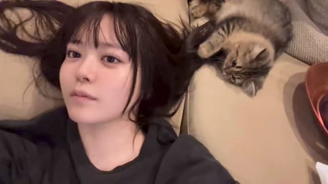 これは可愛くて怒れない…！東雲うみの髪でじゃれる猫チャンの姿にファンもほっこり