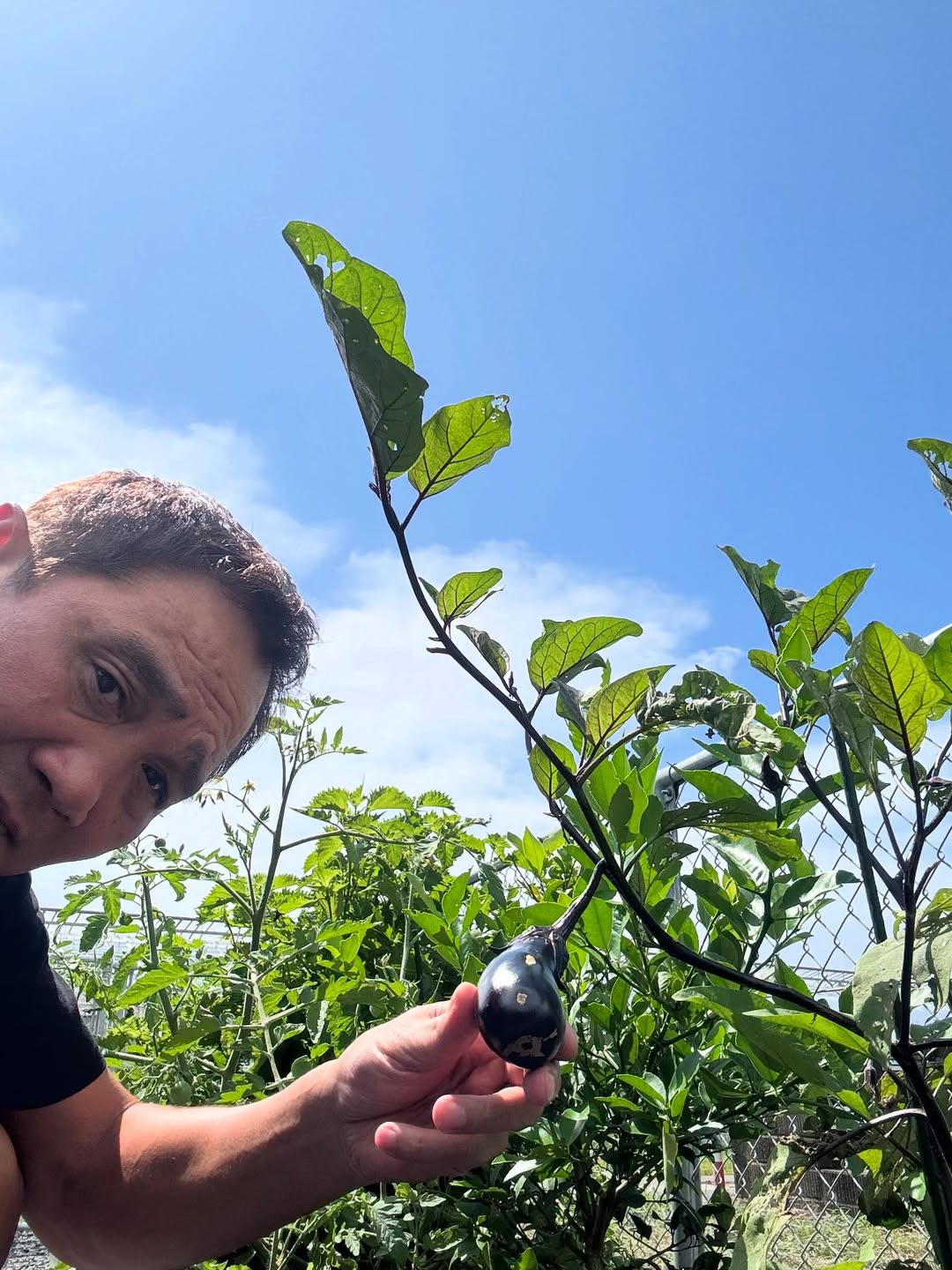 「すくすく育ってます」元プロボクサー・竹原慎二、家庭菜園の様子を公開！