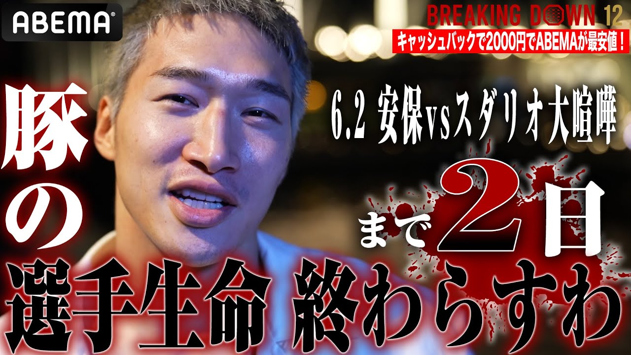 安保瑠輝也、スダリオのVTRを見て怒りの暴言「早く殴り合いさせろ」「豚の丸焼きにしてやる！」
