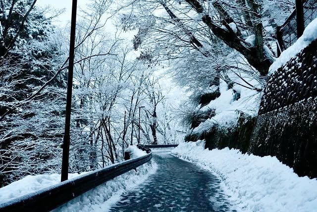 「物語の始まりっぽいね」SixTONES・京本大我、異世界に迷い込んだかのような『幻想空間』ショットでファン幻惑！？