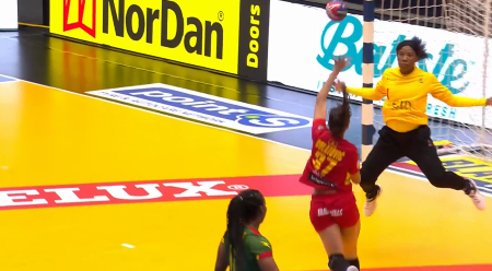 【ハンドボール】第26回女子世界選手権グループB モンテネグロ vs. カメルーン