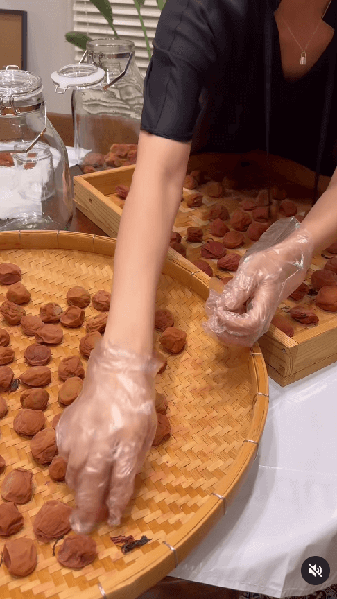 柴咲コウ、自家製梅干しが完成！ファンから「美味しそう」「食べてみたい」の声続々