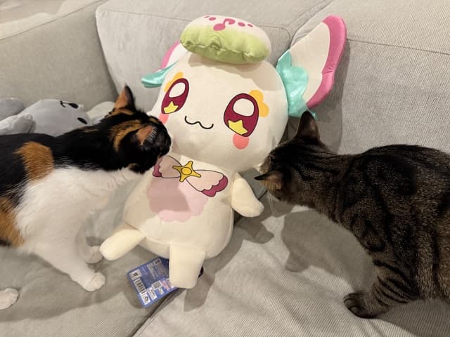 「どこの者じゃワレェ」佐久間大介がプリキュアの妖精ぬいぐるみに絡む愛猫たちの姿を投稿！