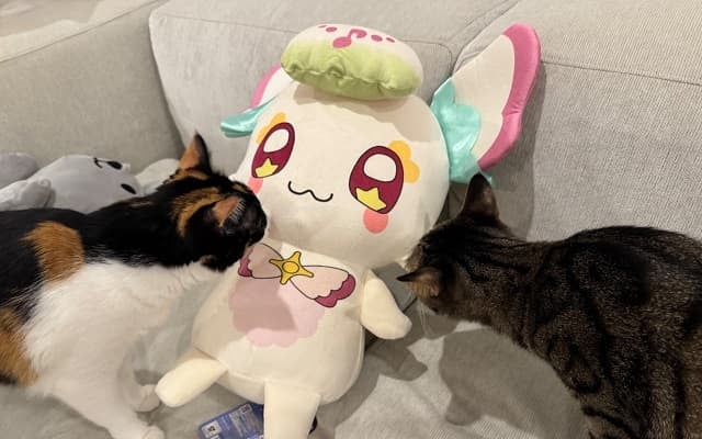 「どこの者じゃワレェ」佐久間大介がプリキュアの妖精ぬいぐるみに絡む愛猫たちの姿を投稿！