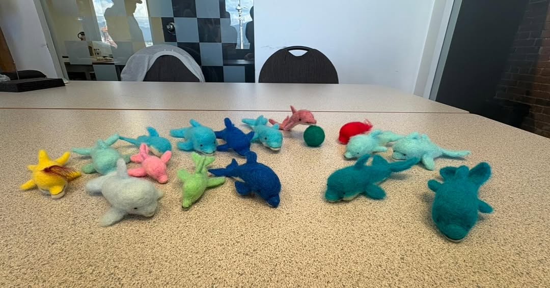 オアシズ・光浦靖子の愛らしいイルカたちに反響続々と集まる！