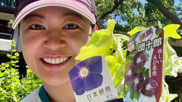 「團十郎ちゃんが急成長中！」黒谷友香が“朝顔とバラ”で魅せる和洋ミックスのガーデンライフが話題に！