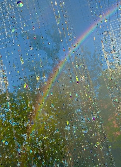 蜷川実花、大阪・関西万博「Better Co‑Being」の朝の自由観覧スタートを報告