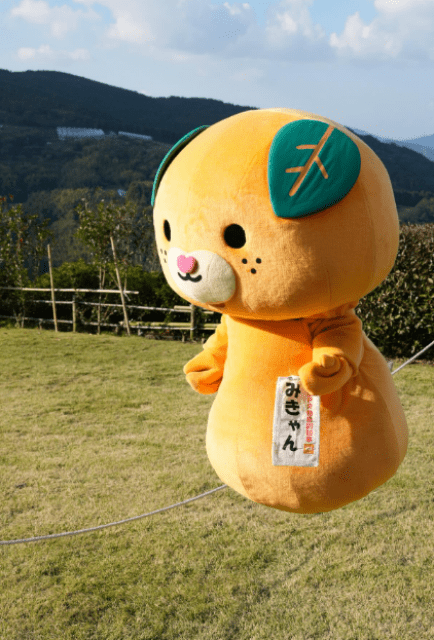 愛媛県イメージアップキャラクター・みきゃん、