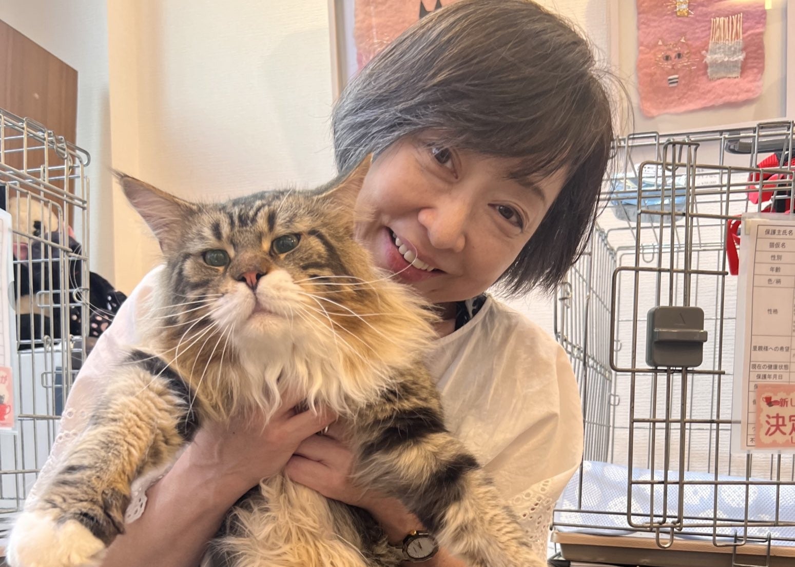 川上麻衣子、猫譲渡会を告知「多くの猫さんが幸せになりますように」