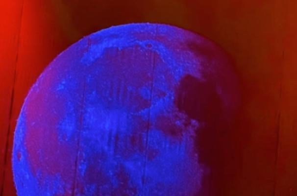 蜷川実花「またハワイ行きたい…」家族との思い出に浸る日々