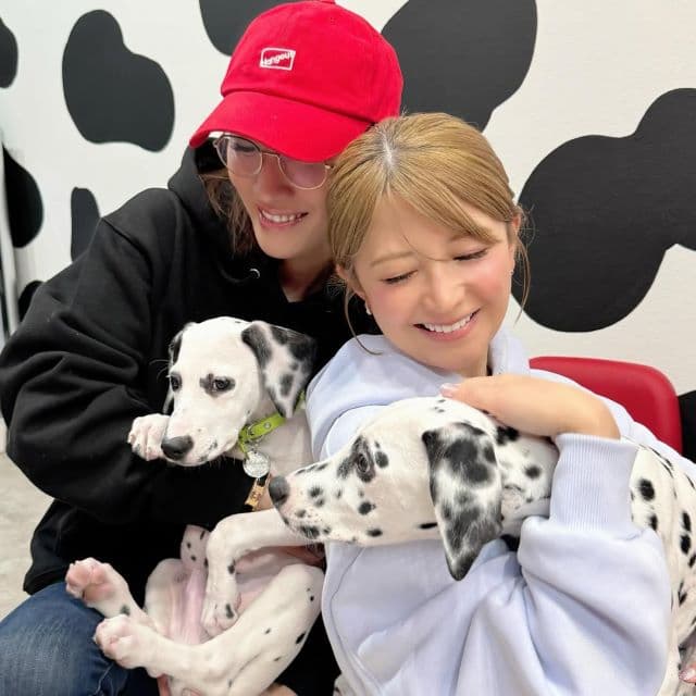 矢口真里、ゆしんに誘われダルメシアンカフェへ！子どもの顔に犬のスタンプでややこしいことに…？！