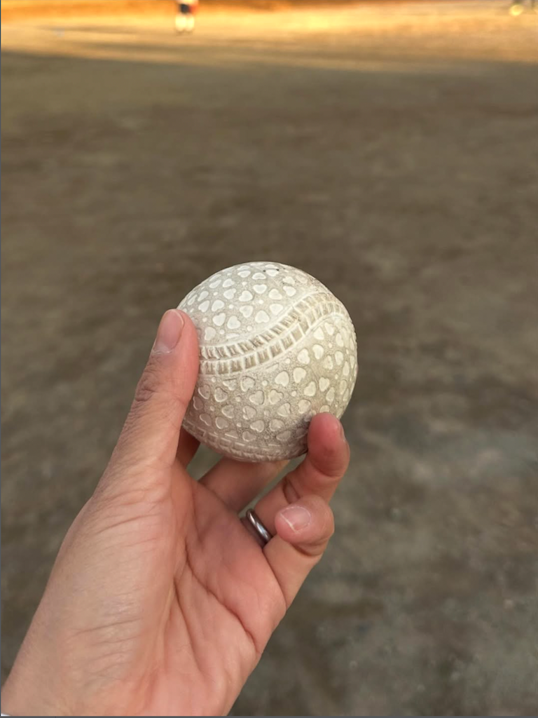 里田まい「素敵な思い出に」　家族と迎えた穏やかな新年を報告