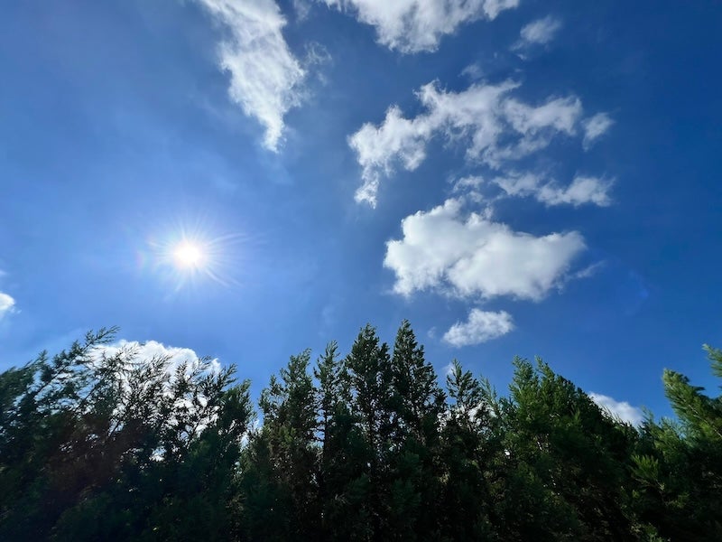 TKO勝利を挙げた井上尚弥 まさかの休日の過ごし方にコメント殺到「普通の人のオフじゃない」