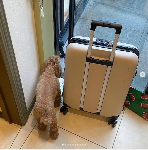 松本伊代が昨日の悪天候の様子を報告