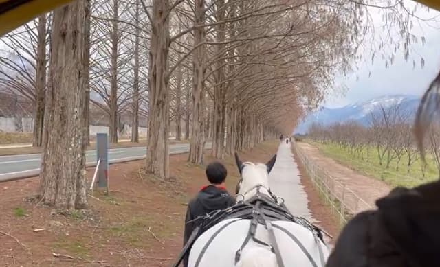 JRA騎手の和田竜二『メタセコイアと馬の森』の竣工式に参加し「滋賀の観光地に新たな魅力」と伝える