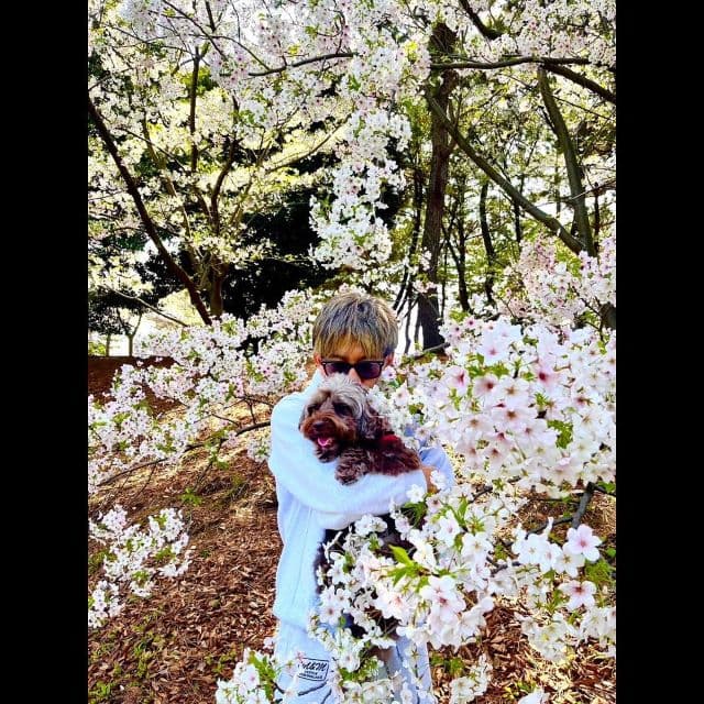 「たまらん！」木村拓哉、桜に囲まれた場所で愛犬の〇〇の匂いを楽しむ…？！