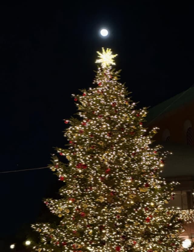 「よろしければどうぞ」南原清隆が女子高生に混じって必死に撮影したものとは！？