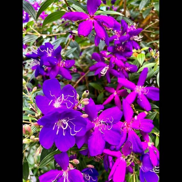 新エージェント契約を結ぶ木村拓哉 ２日ぶりのインスタグラム投稿　