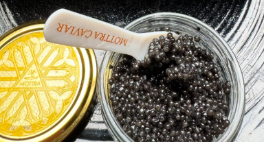 「真夜中の乾杯」が似合いすぎる…！桃井かおり、誕生日を“ラトビア産キャビア”で祝福！