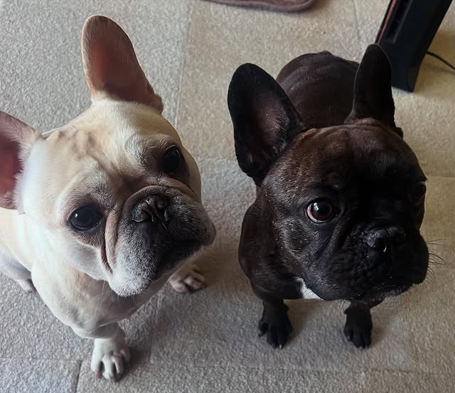 元女子バレー「かおる姫」菅山かおるが