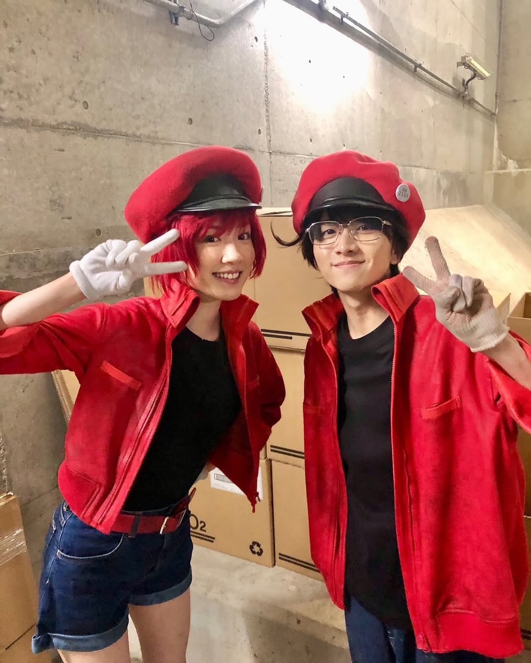 「事務所の先輩でありながら、赤血球としても先輩！」板垣李光人が最新映画で共演したあの大人気女優との2s公開でファン大盛況！