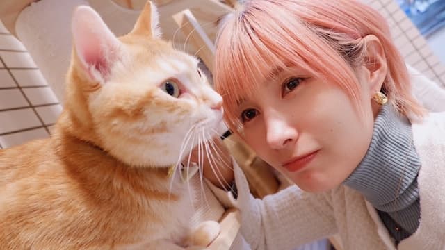 元女子プロ野球・加藤優が新年の挨拶、猫と一緒にツーショット