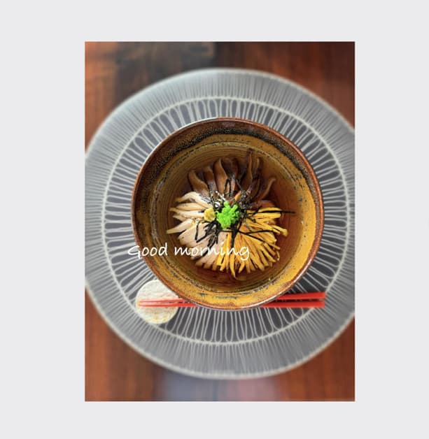 「あら素敵」吉瀬美智子が手作り器で綺麗に盛られた鶏飯丼を披露！