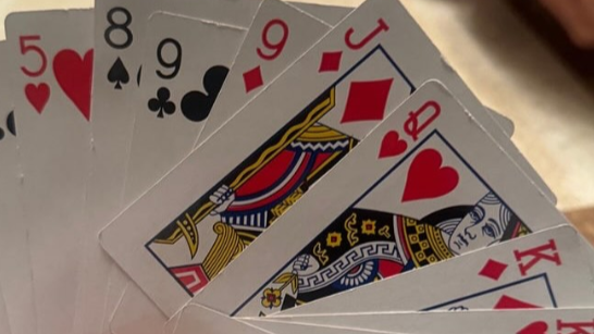 市川團十郎が帰宅後に“即トランプ”! 仲良し家族のほのぼの投稿が話題に